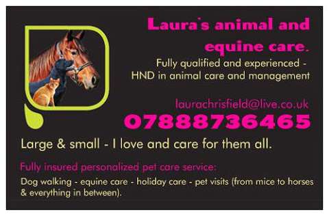 Laura's animal care photo